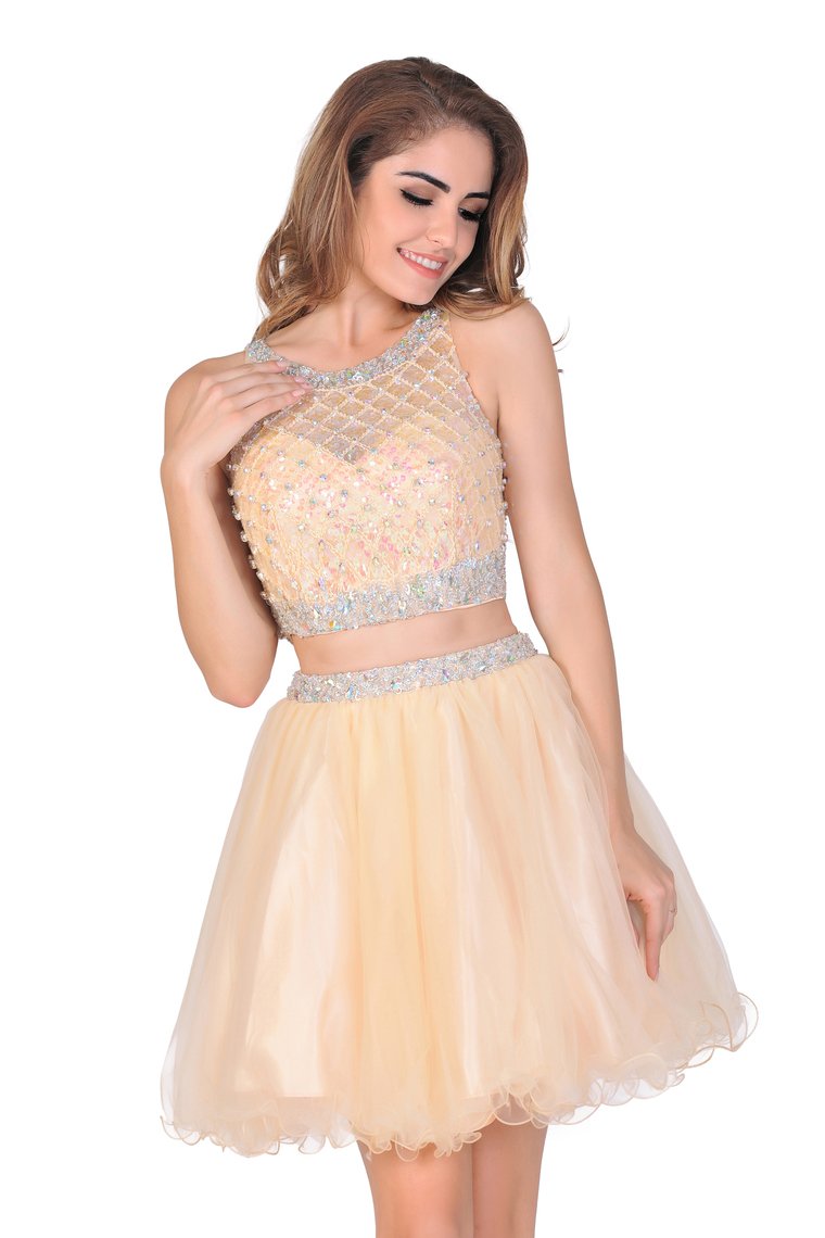 2024 A-Line Homecoming Dresses Short/Mini Scoop Beaded Bodice Tulle