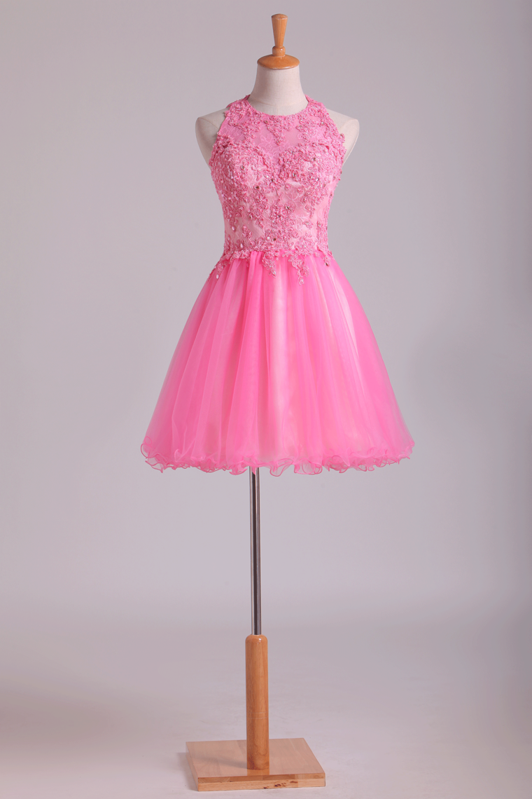 Lovely Homecoming Dresses Scoop A Line Short Tulle With Applique