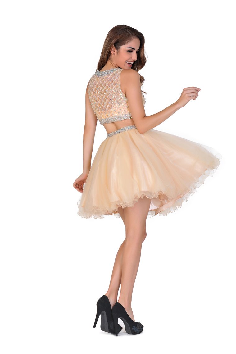 2024 A-Line Homecoming Dresses Short/Mini Scoop Beaded Bodice Tulle